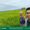 Promotion of Amino-K to Watermelon and Rice Farmers in Libmanan, Camarines Sur